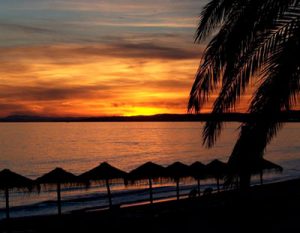 Marbella spanish miss languages international spanish school