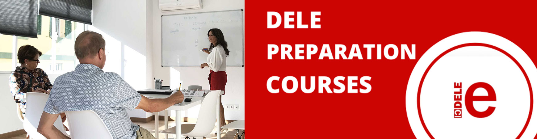 dele preparation spanish courses marbella international spanish school marbella dele preparation spanish courses marbella international spanish school marbella